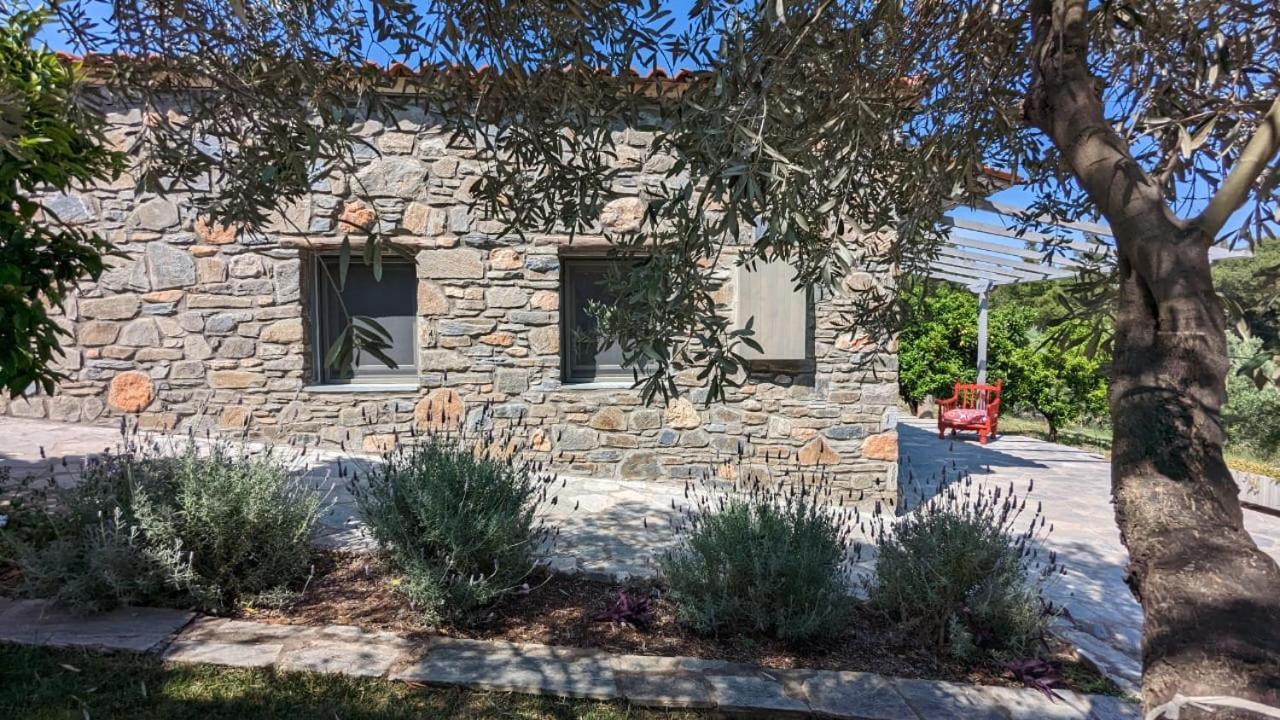 Villa Kladi House Renovated 2023 Nikiti  Exterior foto