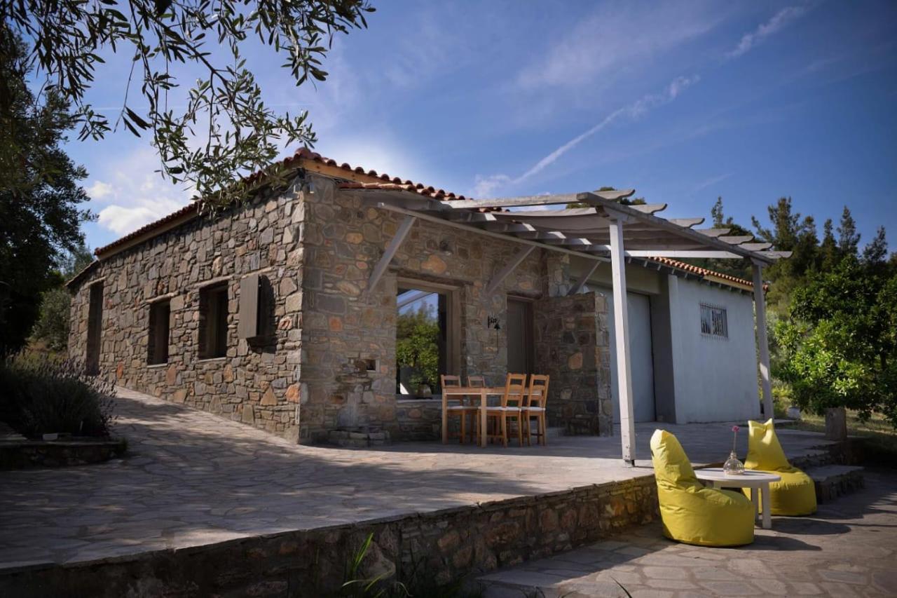 Villa Kladi House Renovated 2023 Nikiti  Exterior foto